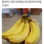 [드루와] 얘들아 <b>바</b><b>막</b> 색 추반좀