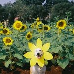 우리 크리스마스때 다시 <b>만나자</b>!