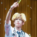 [강다니엘] 멍무 <b>vs</b> 토끼