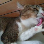 다롱이 ^^