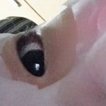 [댓글부탁해] 무쌍 눈화장 어케 해야 돼ㅠㅠㅠ <b>사진O</b>