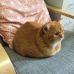 [댓글부탁해] 영화 포스터 챙기는게 <b>민폐</b>라고 생각?
