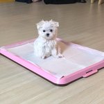 에프엑스 생각보다 엄청 심각하네