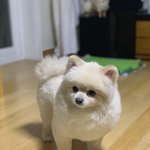 [도와주세요] 엄마가 이상한 부분에서 고집부려요.