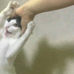 <b>이런사진</b>있냐ㅠㅠ