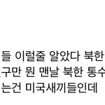 다음여초히는 판녀들있어?이거진짜야?