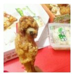 <b>봉고</b>데기 너무 어려움