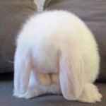 아 나 혼자 <b>쌩쇼</b>한듯ㅎㅎㅎ