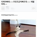 형광펜 무슨 색 쓰는지 알려주면 짝남이랑 사귐