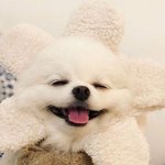 [드루와] ㅈㅂㅈㅂ 이거 <b>환불</b>돼?ㅈㅂㅈㅂㅈ대답채쥐 이쁘니들아