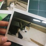 [댓글부탁해] 폴라로이드 잘찍는 <b>꿀팁</b>좀 ㅜ