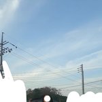 [<b>착용샷</b>있음] 수학여행때 입을 룩 골라봐