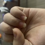 내가 <b>손톱</b>기르고 해보고싶었던거.....