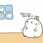 [댓글부탁해] 그 차 이름 뭔지 아는사람