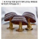 근데 방탄은