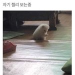 [드루와] 앞으론 걍 내가 하고싶은대로 해야지