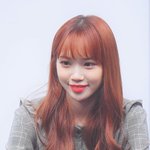 스트레이키즈 필릭스 랑 아이즈원 김채원 <b>이랑</b> 너무 닮지 않았음?