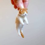 [드루와] 고양이가 <b>츄</b><b>르</b> 먹을줄 모르는데 어캄