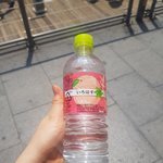 이거 이름 뭐야?