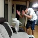 <b>재업</b> 미안해 ㅜㅜ 제발 한번만 도와줘