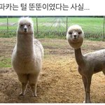 누군지도 모르는 년한테 눈화장 욕 먹음