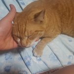 너무 <b>속상</b>합니다