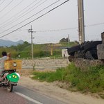 오래오래 행복하개(<b>dog</b>)~~~