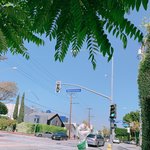 [드루와] <b>쿠션</b> 호수 추반해주고 짝남이랑 사겨라