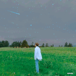 [EXO] 아마 낯선 환경에서 또 <b>여럿</b>이서 바글바글 자는데