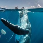 <b>말문</b>이 턱 막히는 사진들