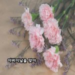 [좋은글귀] 어버이날을 맞아