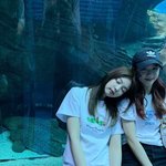 블핑 블랙핑크 <b>제니</b> <b>지수</b>