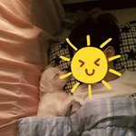 [강아지] <b>형아</b>가 제일 좋다ㄱㅐ