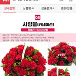 [개깊은빡침] 같은 꽃으로 보이시나요??