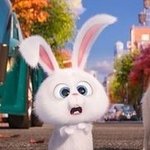 [댓글부탁해] <b>강호동</b> 으이구 짤 있는사람 ㅠㅠㅠ