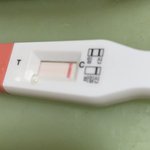 [19] 이거 비임신 맞아?