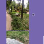 [조언부탁] [퍼가주세요][혐오 주의]선넘은 유기견 <b>수색</b>방법