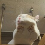 이거 그린라이트? <b>Or</b> 꾸린라이트