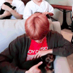 강아지가 실례했을 때 한 아이<b>돌</b>의 대처법