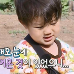 세상엔 삶은 달걀만 있는게 아니란다