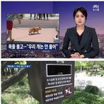 [댓글부탁해] 당신 애한테 <b>목줄</b>해서 끌고 다녀봐