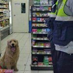 편의점 <b>난입</b>사건 ㄷㄷㄷ