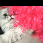 [EXO] 우리 집 애기 졸라 화남