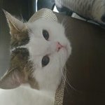 <b>판</b> 집착 스토커있<b>넹</b>.. 조심해 다들
