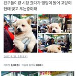 영어 진짜 쉬운 거야 제발 들어와 줘