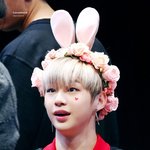 [강다니엘] <b>신인가수</b> 강다니엘❤