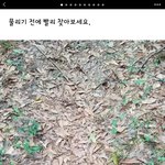 용인대 지잡<b>대야</b>??
