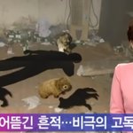 주인을 먹은 <b>애완견</b>