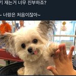 [댓글부탁해] 나보다 ㅈ같은애 있냐?