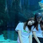 블핑 블랙핑크 <b>제니</b> <b>지수</b>